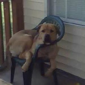 Meet your Posher, Sonia